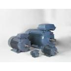 ABB Standard Industrial Motors, Cast Iron Frame